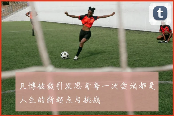 凡博被裁引发思考每一次尝试都是人生的新起点与挑战